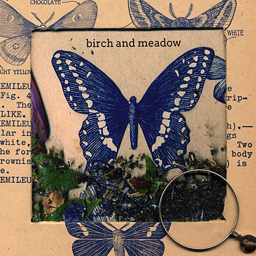 Birch And Meadow – Butterflies And Graves – Deluxe Version  SOLD OUT