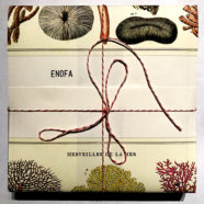 Enofa – Nerra Ninna Noak – Deluxe Box Edition – SOLD OUT!